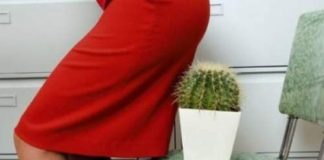 Bất ngờ 4 cách chữa bệnh trĩ dứt điểm mà bác sĩ cũng phải gật đầu benh-tri-la-noi-am-anh